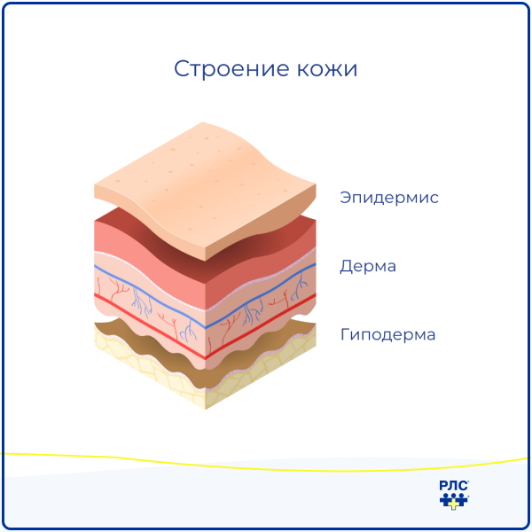 Воспаление яичка у мужчин